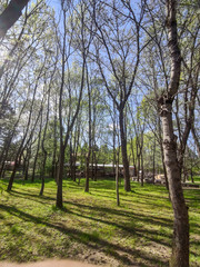 Spring view of South Park in city of Sofia