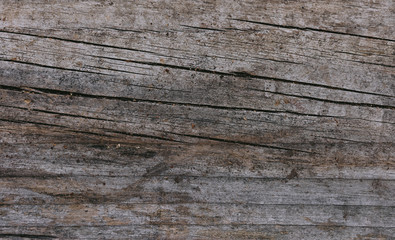 Weathered Board Background with Cracks and Knots