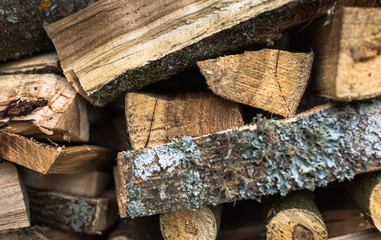 Stacked Firewood Ready For a Cold Winter