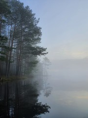 morning on the river