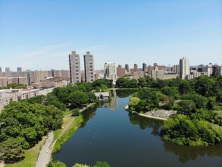 central park new york forest walking 