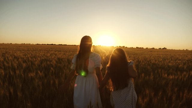 healthy children holding hands go on wheat field in rays of beautiful sunset. concept of happy childhood and family. young girls travel in field of wheat in rays of warm sun. girls touch wheat ears