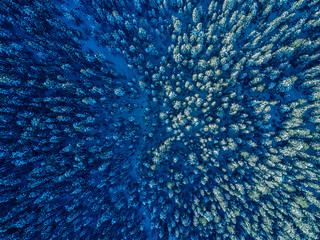 Wonderful Vivid nature scenery. Fantastic views of the turquoise alpine lake, Trees and majestic mountains, under sunlight. Amazing nature mountain landscape. beautiful background for design and post