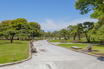 皇居外苑の風景