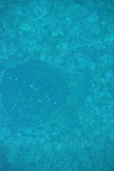 石垣島随一の絶景・観光スポット　川平湾（沖縄）