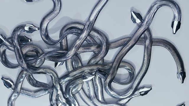 Metal chromed chains similar to a snakes fall on a white background. Macro. Closeup