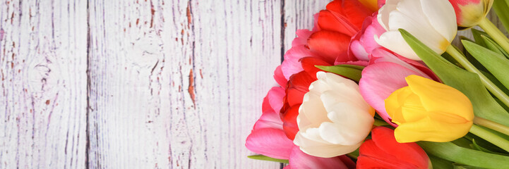 A bouquet of fresh, bright, multi-colored tulips on white wooden boards.