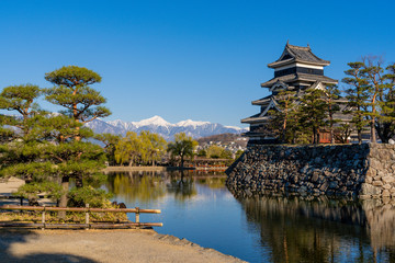 春の松本城とアルプスの山々
