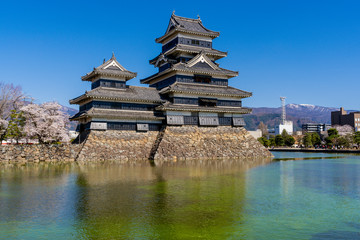 信州・松本の春の松本城
