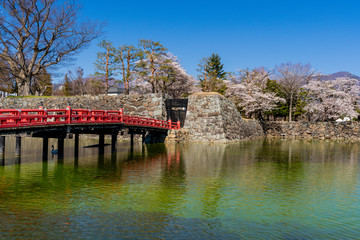春の松本城公園
