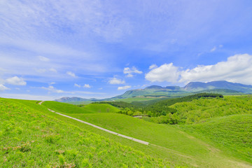 Fototapeta na wymiar 草原とくじゅう連山　熊本県産山村　Grass field and Kujurenzan