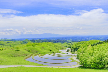 扇棚田　熊本県産山村　Ougi terraced paddy field Kumamoto Ubuyama village