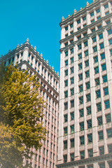 Fototapeta premium building in the city