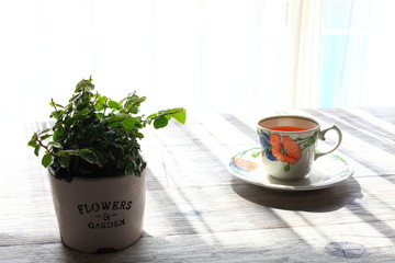 朝の窓辺　カーテン越しの陽射し