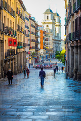 Toledo Street - Madrid, Spain