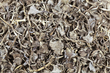 Dried winter mushrooms, Craterellus tubaeformis