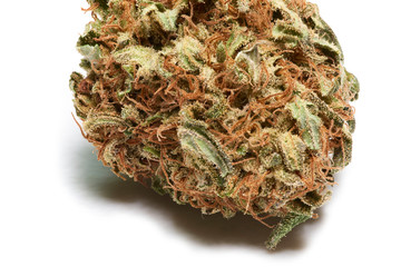 macro and detail of a natural marijuana bud, a very good quality resinous medicinal species