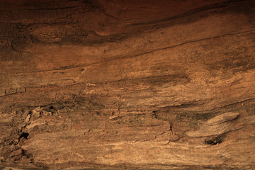 wood texture background surface with old natural pattern