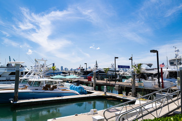 Miami Beach yachts. Waterfront on the docks of the picturesque Miami Beach Marina.