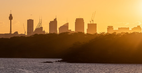 Close silhouette view of Sydney downtown with trees in the foreground. Sun rays spreading an amazing orange color cast over the trees. Beautiful orange sky in the background