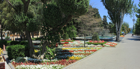 Azerbaijan. Beautiful seaside boulevard. Baku city.