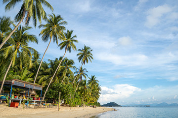 The sandy shores of the azure sea. Waves and palm tree with swing.