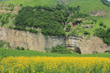 Fototapeta na wymiar Beautiful meadow of yellow flowers with a waterfall.