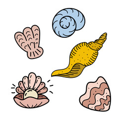color vector element, black and white drawing of a marine inhabitant, shell