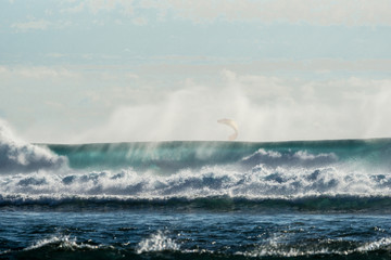 A huge wave for surfing . The photo was taken from the water in the Indian Ocean island of Mauritius