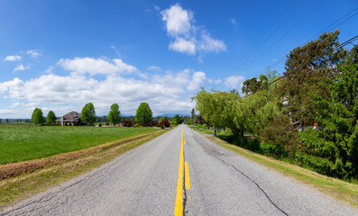 Fototapeta premium Scenic Panoramic View of the Road in the Country Side during a beautiful sunny day. Taken in Surrey, Greater Vancouver, British Columbia, Canada.