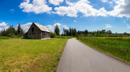 Beautiful Panoramic View of Trail in Nature with Green Trees during a sunny spring day. Taken in Tynehead Park, Surrey, Greater Vancouver, British Columbia, Canada.