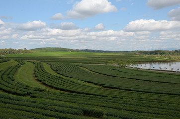 Landscapes in Thailand 