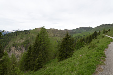 Fototapeta na wymiar Escursione lungo la cima del monte Torondon