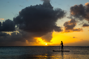 Girl surfer coming back from the ocean by paddle board  against the backdrop of a beautiful sunset in Mauritius