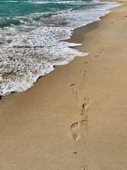 footprints on the beach bangkok thailand beautiful sky roof Asia art