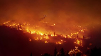 Wide angle lens of Australian virgin forest fire at night, trees destroyed by fire causing air pollution
