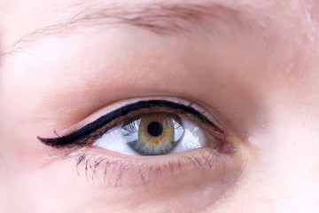 Obraz premium Close up shot of a woman's eye with long lashes