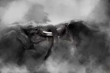 Türaufkleber Elefant Elefanten im Kampf gegen den Amboseli-Nationalpark