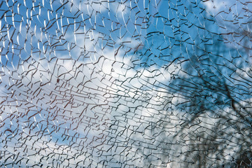 Blurred view of the blue cloudy sky and tree branch behind the cracked glass