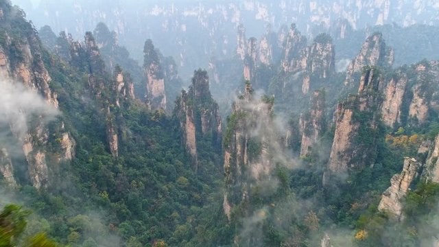 Zhangjiajie sandstone peaks covered with mist in the morning 