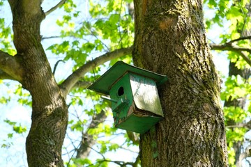 Old wooden green birdhouse on the sunlit tree. Old wooden green birdhouse on the sunlit tree.