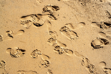 Top view of the empty yellow wet sandy beach. Background with visible texture and footprints. Close-up beach sand in the summer. Thailand. Granular surface.