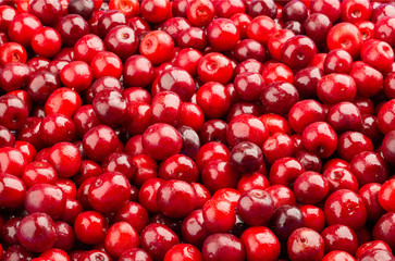 Frozen fresh sour cherry. Food background. Top view.
