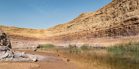 a man is studying the mud by the pond in the old clay and mineral quarry in the makhtesh ramon...