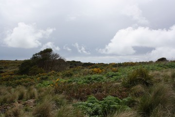 The Nut in Stanley, Tasmania.