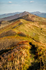 Amazing colours of the mountain meadows in the early spring. Bieszczady National Park. Carpathians. Poland.