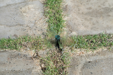 Underground sprinkler system watering park lawn.