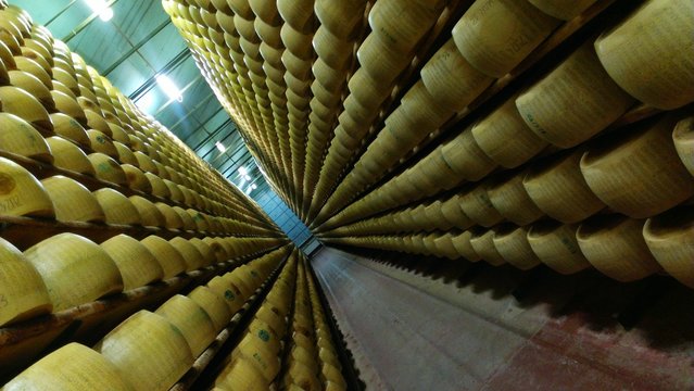 Cheese Wheels On Shelves