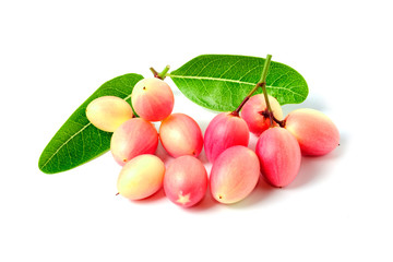 Carissa carandas Linn or Bengal currants and leaves with water drops isolated on white background