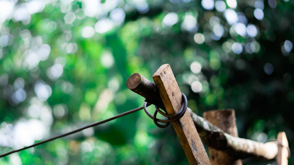 Clothes Drying Rattan Green leaves Bokeh Object beatiful shoot